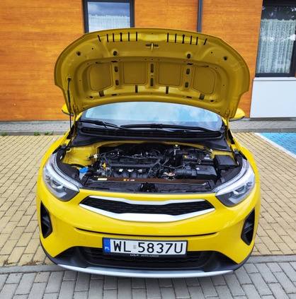 Kia Stonic cena 74538 przebieg: 22000, rok produkcji 2023 z Rybnik małe 254